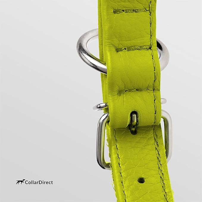 CollarDirect Rolled Leather Dog Collar, Soft Padded Round Puppy Collar, Handmade Genuine Leather Collar Dog Small Large Cat Collars 13 Colors (18-22 Inch, Lime Green Textured)