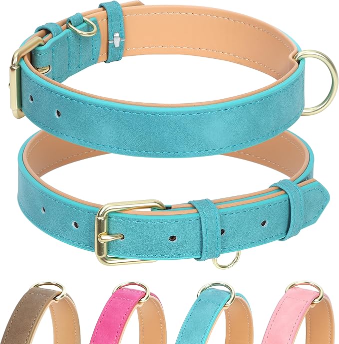 Leather Dog Collar for Small Dogs, Soft Padded Dog Leather Collar with Heavy Duty Gold Buckle, Durable & Comfortable, Teal Blue, S