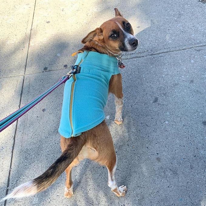 Gooby Zip Up Fleece Dog Sweater - Turquoise, Medium - Warm Pullover Fleece Step-in Dog Jacket with Dual D Ring Leash for Small to Medium Dogs