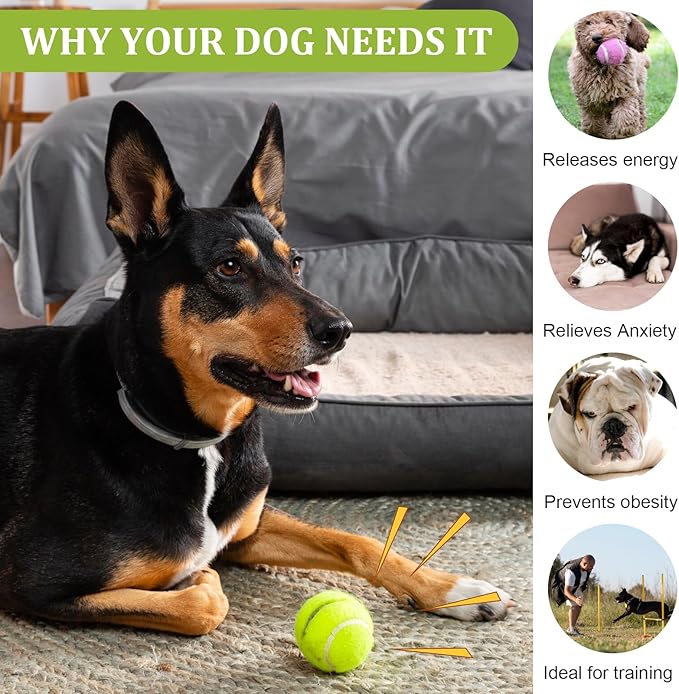 DIVINA VITAE 20Pcs Small Tennis Balls for Dogs, 2 Inch Colorful Mini Tennis Balls Fits All 2 Inch Dog Ball Launchers(Yelllow)