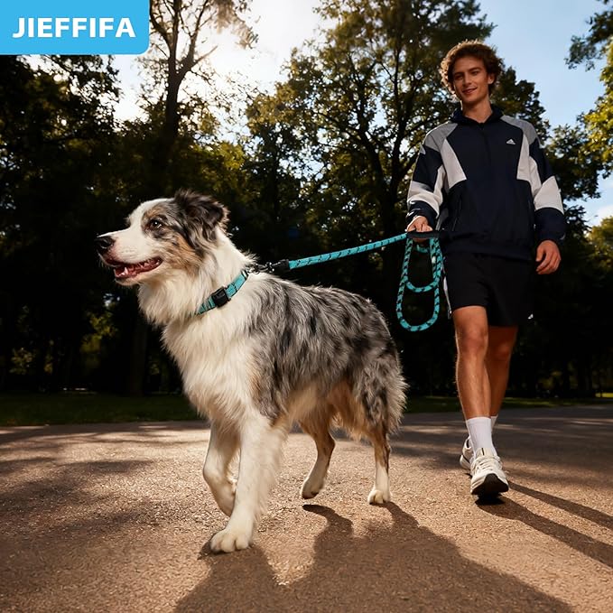 Nylon Dog Leash for Medium Large Dogs, 5-FTReflective Heavy Duty Leash with Comfortable Handle & Poop Bag Dispenser Ring, 1/2 Inch Wide, Secure Reinforcement for Walking(Blue, M)
