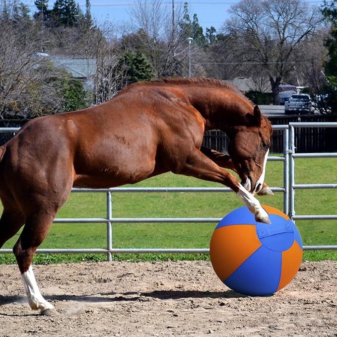 Herding Ball for Dogs - 25" Large Herding Ball with Anti-Burst Cover and Pump, Outdoor Dog Exercise Toy for Australian Shepherd, German Shepherd, Collie (Blue & Orange)
