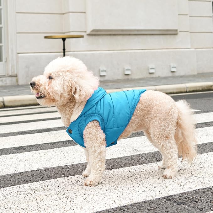 Fleece Lining Extra Warm Dog Hoodie in Winter,Small Dog Jacket Puppy Coats with Hooded,Light Blue S
