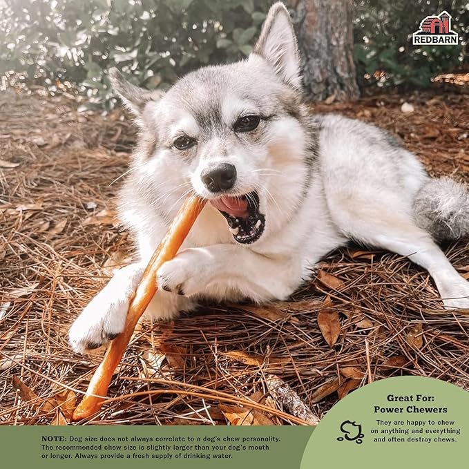 Redbarn Pet Products Natural Large Collagen Sticks for Dogs - Long Lasting Alternative to Traditional Rawhide & Bully - Supports Joint, Skin, & Coat Health - Case of 35