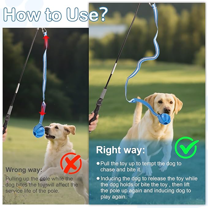 Flirt Pole for Dogs Interactive Dog Pole Toy for Large Medium Small Dogs, Dog Teaser Pole for Tug of War, Flirt Pole with Lure Ball (Standard&Extended Pole+Tensile Rope)