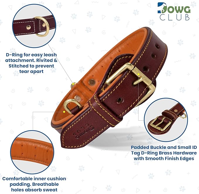 Genuine Leather Dog Collar | Padded, Full Grain, Heavy Duty, Comfortable, Strong | Best for Pups, Small, Medium, Large & XL Breeds (Small (Fit Neck Size 11.5"-14.5"), Dark Brown)