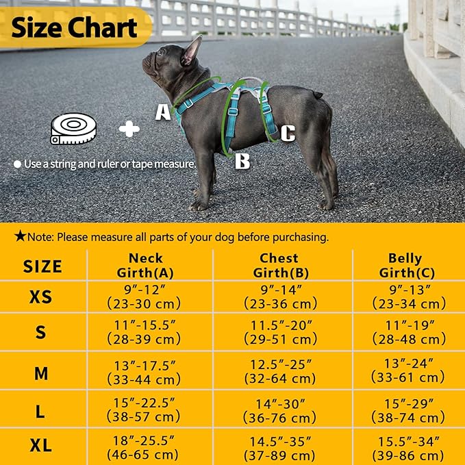 Huntboo Escape Proof Dog Harness, No Pull Reflective Harness with Lift Handle, Adjustable Pet Vest with Front and Back Leash Clips for Small Medium Large Dogs Walking Hiking Training (Teal,L)