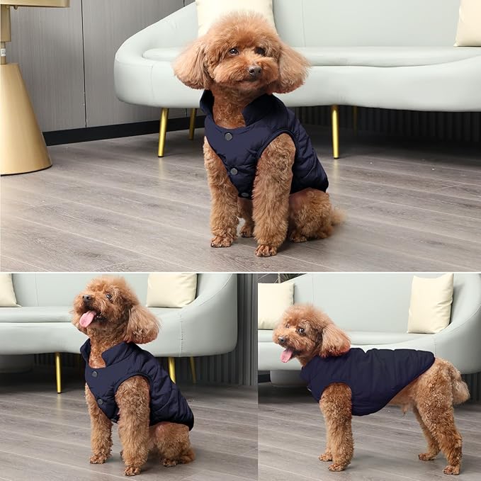 2 Layers Fleece Lined Warm Dog Jacket for Puppy Winter Cold Weather,Soft Windproof Small Dog Coat,Blue XS