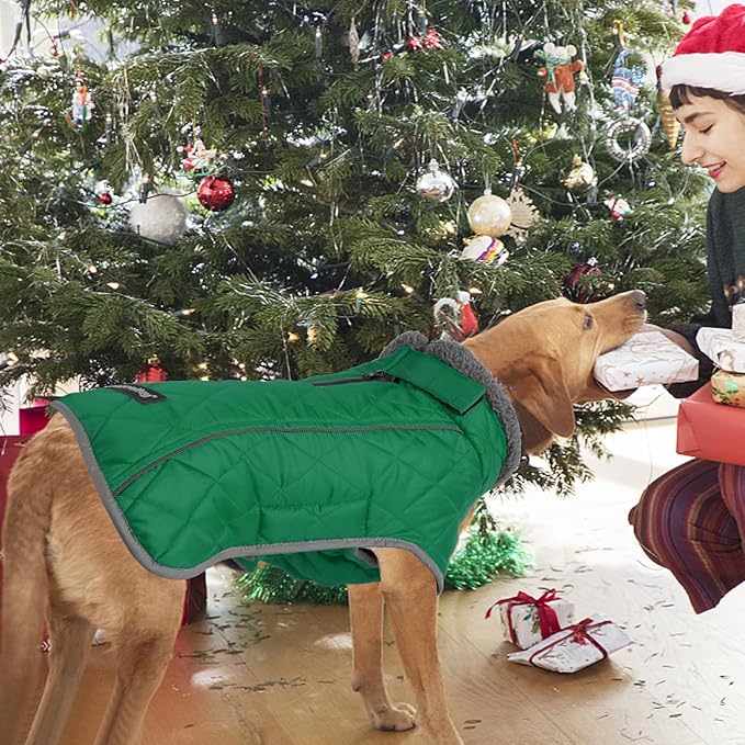 Fragralley Dog Coat Large, Waterproof Dog Jacket with Warm Fleece Lining, Adjustable Reflective Dogs Winter Coat, Turtleneck Pet Coats for Cold Weather (Green L)