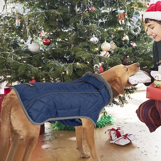 Fragralley Dog Coat Large, Waterproof Dog Jacket with Warm Fleece Lining, Adjustable Reflective Dogs Winter Coat, Turtleneck Pet Coats for Cold Weather (Blue L)