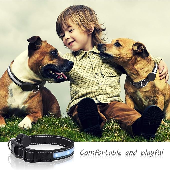 Light Up Dog Collar, Safety LED Dog Collars Rechargeable 7 Colors in One Lighted Dog Collar Glow in The Dark Dog Walking Light, Neon Durable Nylon Adjustable Buckle for Small/Medium/Large Dogs,XS Size