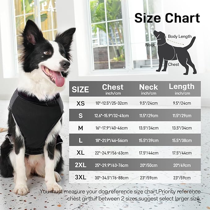 Warm Fleece Dog Coats for Small Dogs,D-Rings Waterproof Puppy Jacket for Cold Winter,Black XS