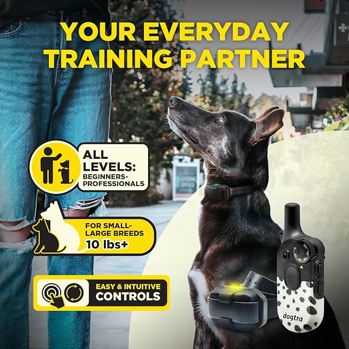 Dogtra 200iQ Remote Training E Collar – 100 Levels, Tone, Vibration, 1/2 Mile Range – Compact, Waterproof, One-Handed Control for Dogs 10 lbs+ – Lightweight Design for Daily Training – Modern Dots