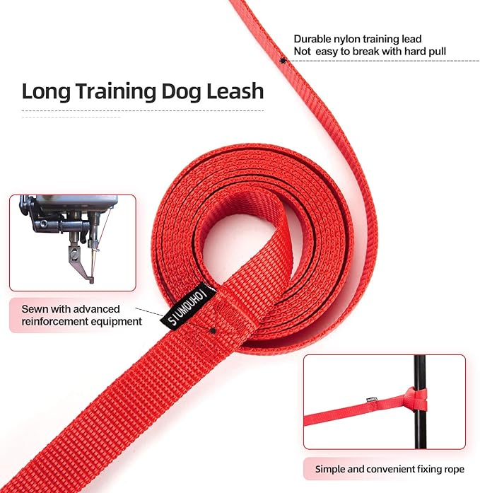 Dog/Puppy Obedience Recall Training Agility Lead - 15ft 20ft 30ft 40ft 50ft Training Leash - Great for Training, Play, Camping, or Backyard (30 Feet, Red)