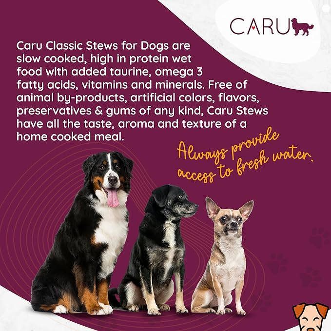 Caru - Classics Beef Stew for Dogs - Healthy Wet Dog Food or Food Topper - Balanced Omega Blend - 12.5 oz Cartons - Pack of 4