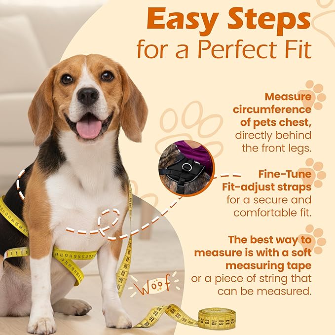 Bark Appeal Black No-Pull Dog Harness for Small to Medium Sized Pets – Adjustable, Reflective Vest with 3 Leash Clips for Added Control, Easy Walks & Training – Medium