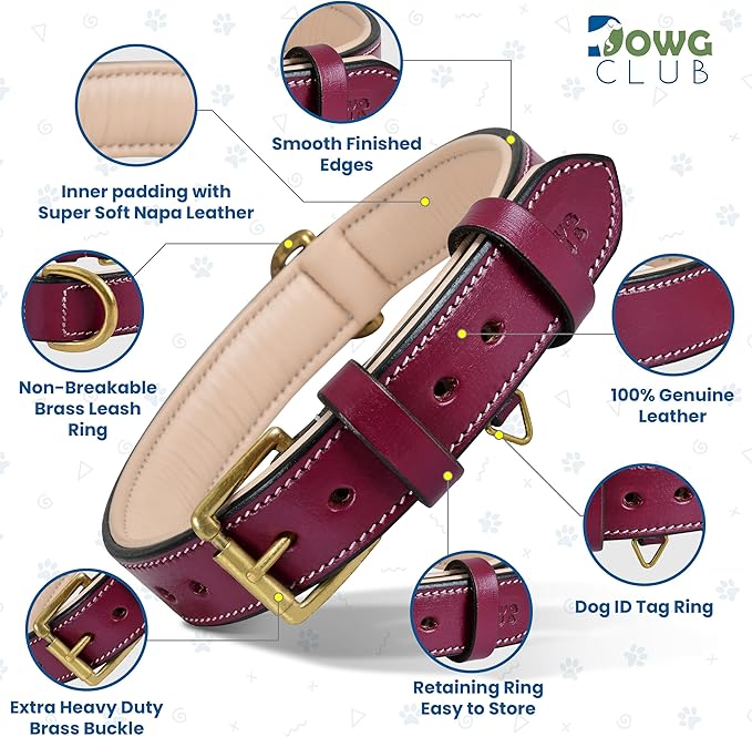 Leather Dog Collar | Leather Collar for Large Dogs, 1.25 Inch Wide Dog Collar Pink | Genuine, Full Grain, Heavy Duty, Comfortable, Soft Padding (Large (Fit Neck Size 18.5"-22.5"), Dark Pink)