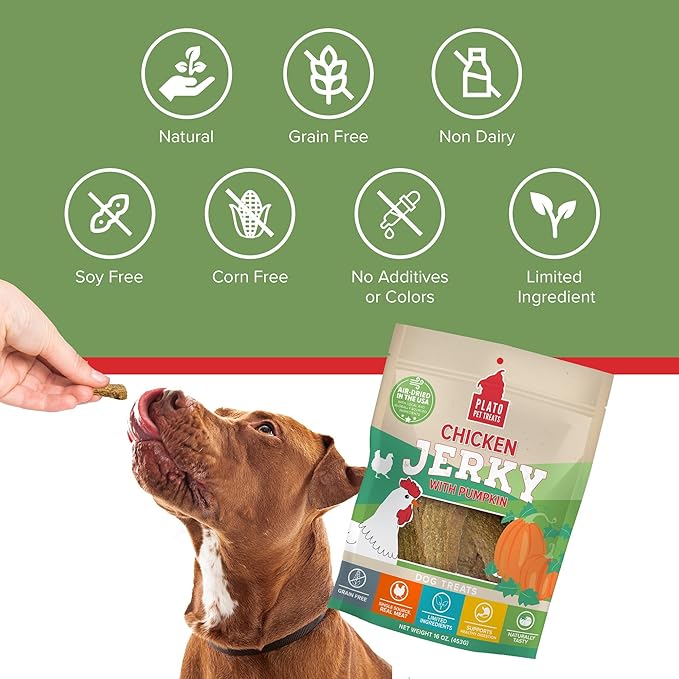 PLATO Pet Treats Dog Treats - Air-Dried Jerky for Dogs - Delicious, Real Meat Dog Treats - Grain Free - Supports Healthy Digestion - Chicken Jerky with Pumpkin 7oz