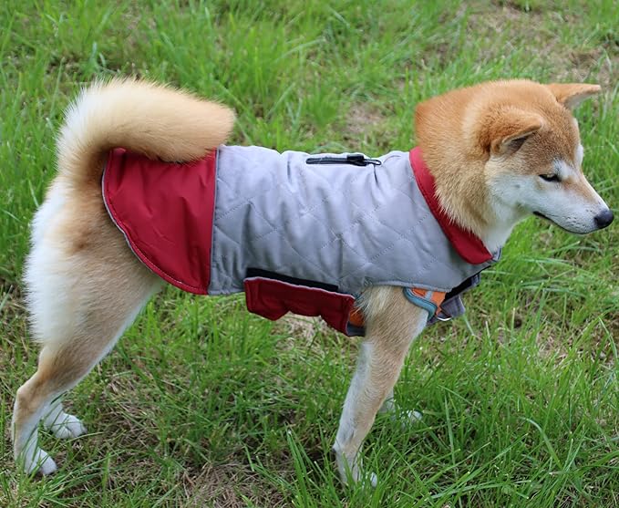 Reversible Dog Coats for Small Dogs Waterproof Warm Puppy Jacket for Cold Winter,Red and Grey S