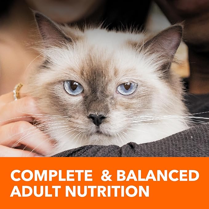 IAMS Proactive Health Indoor Weight Control & Hairball Care Adult Dry Cat Food, Salmon Recipe, 7 lb. Bag