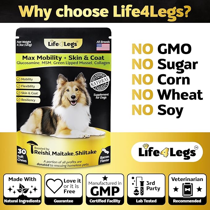 Soft Chews Hip and Joint Supplement for Dogs - Dog Joint Pain Relief Treats - Glucosamine, Chondroitin, Turmeric - Mobility Supplement (Bacon - 30 Soft Chews)