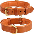 Leather Dog Collar for Medium Dogs, Orange, 1 Inch Wide, Genuine Leather, Heavy Duty with Soft Inner Padding, Comfortable and Durable (Medium (Fit Neck Size 14.5"-18.5"), Tangerine Orange)