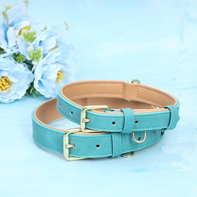 Leather Dog Collar for Small Medium Large Dogs, Soft Padded Dog Leather Collar with Heavy Duty Gold Buckle, Durable & Comfortable for Puppy Dogs Daily Walking (Teal, XS)