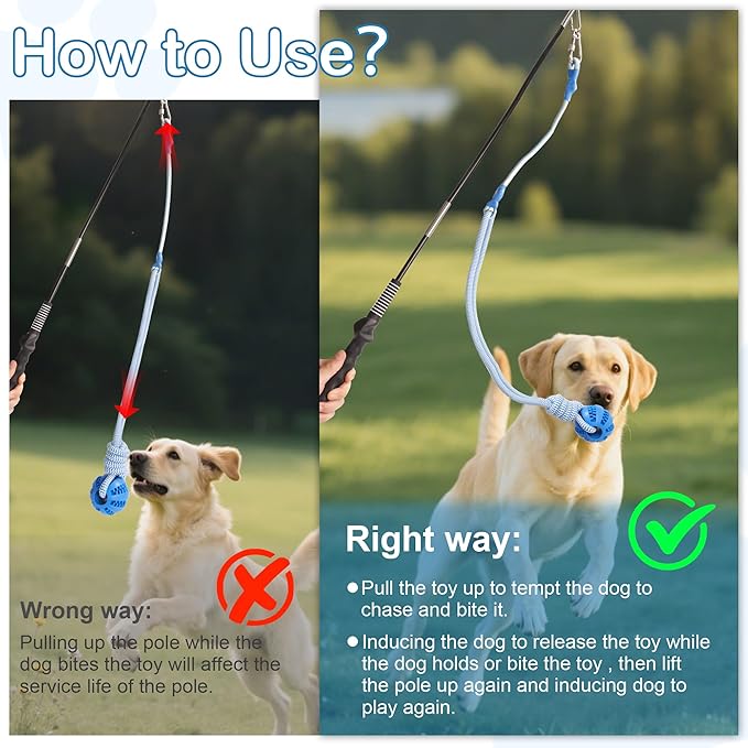 Flirt Pole for Dogs Interactive Dog Pole Toy for Large Medium Small Dogs, Dog Teaser Pole for Tug of War, Flirt Pole with Lure Ball (Standard&Extended Pole+Elastic Rope)