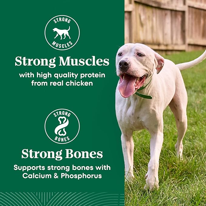 Nutro Natural Choice Chicken & Brown Rice Large Breed Senior Dog Food Dry Recipe, 30 lb. Bag