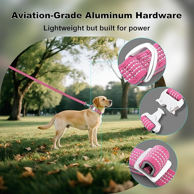 Plutus Pet Reflective Dog Collar with Aviation Aluminum Buckle, Neoprene Padded for Comfort, Lightweight, Heavy Duty Nylon Collar for Puppy Small Medium Large Dogs (Pink, S)