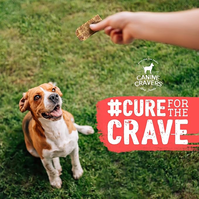 Canine Cravers Single Ingredient Dog Treats – Pure Turkey Jerky - Human Grade Air Dried Hypoallergenic Pet Food – Grain, Gluten, and Soy Free – 100% All Natural – 5.3 oz (Pack of 2)