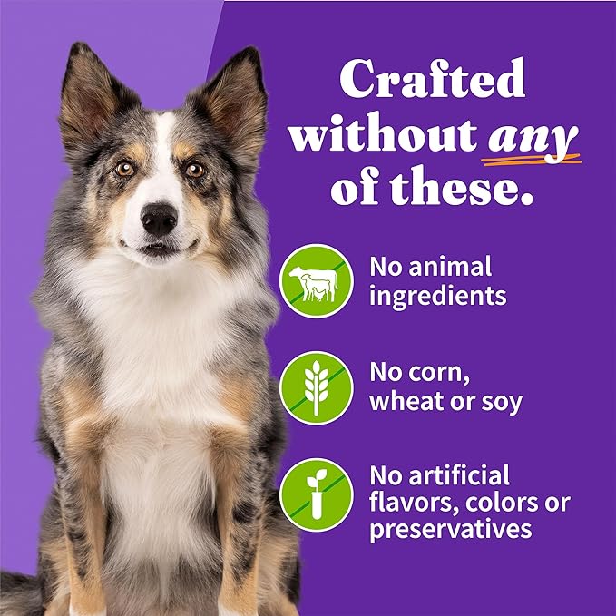 Halo Holistic Vegan Wet Dog Food, Plant-Based Recipe, Canned Dog Food, Complete Digestive Health, Adult Dogs, 5.5 Oz Can (Pack of 12)