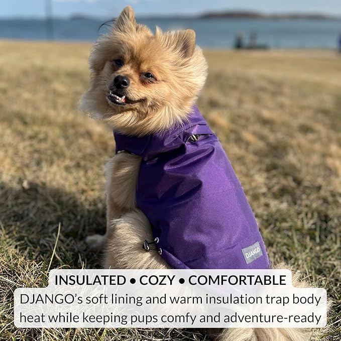DJANGO Reversible Puffer Dog Coat – Warm Winter Dog Jacket & Water-Repellent Insulated Dog Coat w/Harness Hole, Windproof, Adjustable Fit for Small & Medium Dogs, Dachshunds – Violet Purple, Small