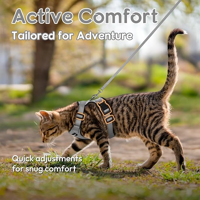 Dooradar Cat Harness and Leash Set, Escape Proof Safe Adjustable Kitten Vest Harnesses for Walking, Easy Control Soft Breathable Mesh Jacket with Reflective Strips for Cats, Grey, XXS