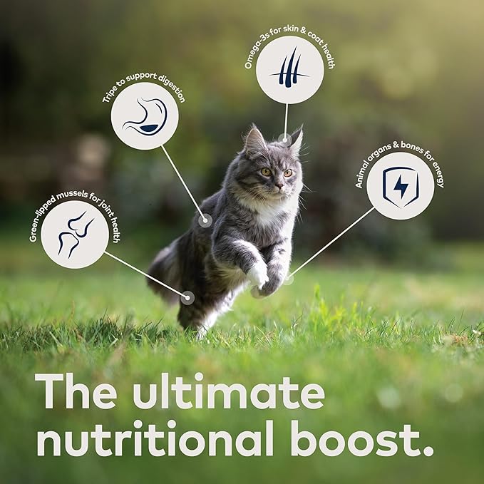 ZIWI Peak Wet Cat Food – All Natural, High Protein, Grain Free, Limited Ingredient, with Superfoods (Lamb, Case of 12, 6.5oz Cans)