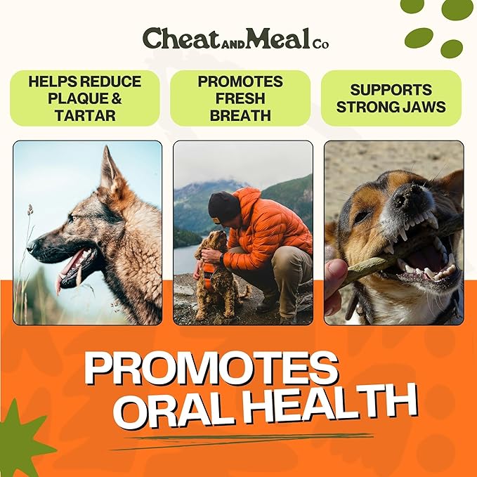 Bully Sticks for Large Dogs, (6 Inch, 5 Count), Dog Chew Toy for Aggressive Chewers Single Ingredient, 100% Beef Pizzle, Grass-Fed, Rawhide-Free, Grain-Free
