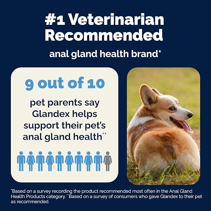 Vetnique Glandex Dog Fiber Supplement Powder for Anal Glands with Pumpkin, Digestive Enzymes & Probiotics - (Regular or Advanced Strength) - Boot The Scoot (4.25 oz, Advanced Strength Duck & Bacon)