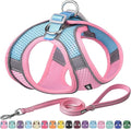 AIITLE Dog Harness, Summer No-Pull Cat Harness with a Leash, Adjustable Reflective Dog Vest, Cat Harness Escape Proof, Outdoor Walking, Camping for Extra Small Dogs and House Cats Pink XXXS