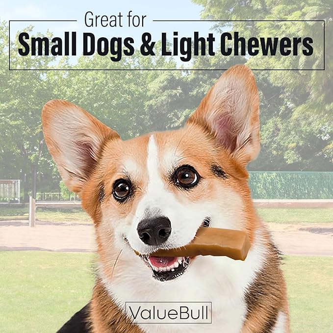 ValueBull Himalayan Yak Cheese Dog Chews, Small, 100 ct Wholesale Pack - Long Lasting for Aggressive Chewers, All Natural, Healthy & Safe, Low Odor Nepal Yak Milk Chews