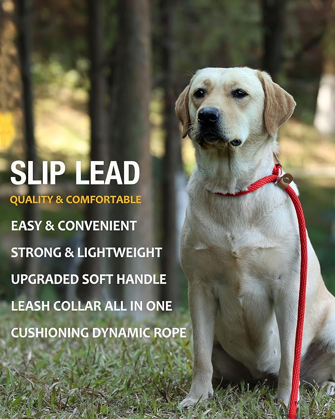 lynxking Dog Leash Slip Lead Rope Leash Strong Heavy Duty Braided Dog No Pull Training Lead for Medium Large and Small Dogs