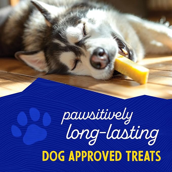 Himalayan Dog Chew Original Yak Cheese Chew, Bacon, 1 Medium Stick, 2.3 oz, Gluten Free, Healthy Treats, Grain & Lactose Free 100% Natural, Long Lasting, for Dogs Under 35 lbs