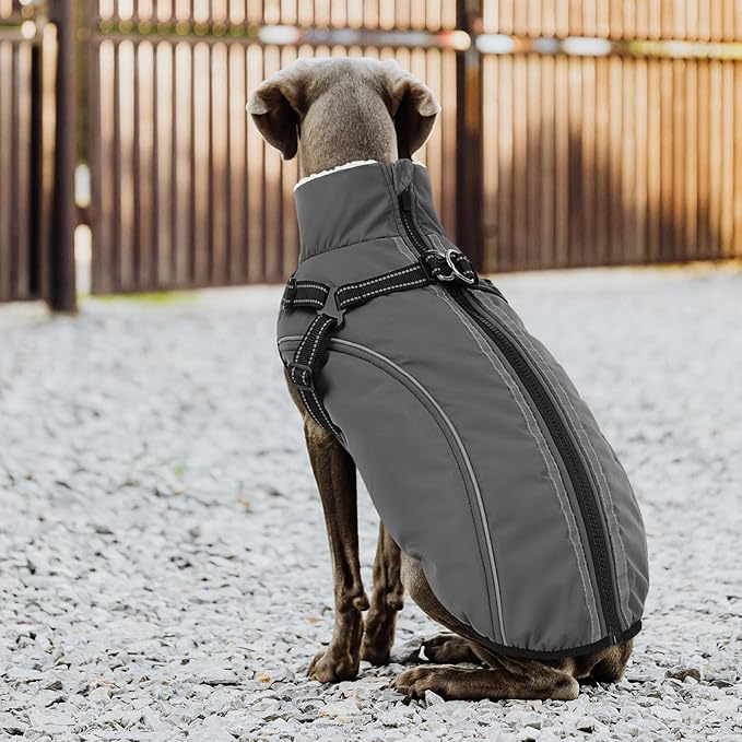 Dog Winter Coat with Harness Built in Warm Puffer Dog Jackets for Small Medium Large Dogs Windproof Waterproof Outfit with Plush Lining and Reflective Stripes (Grey, M)