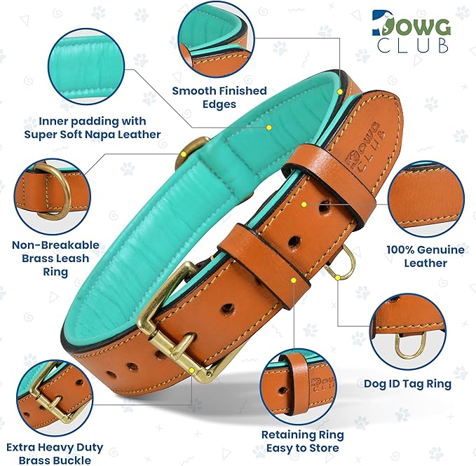 Leather Dog Collar | Dog Collar for Extra Large Dogs, 1.5 Inch Wide, Tan | Genuine, Full Grain, Heavy Duty, Comfortable, Inner Soft Padding (X-Large (Fit Neck Size 22"-26"), Tan)