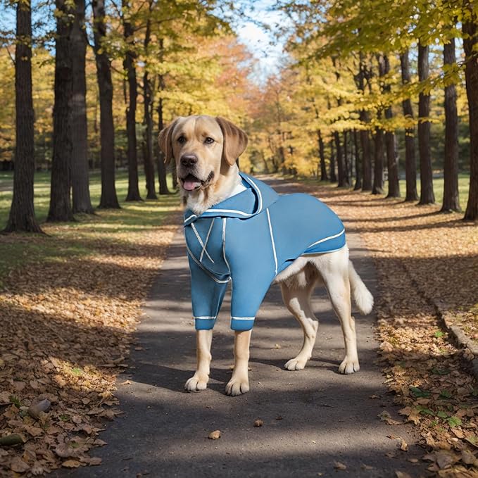 Basic Dog Hoodie Sweatshirts, Pet Clothes Hoodies Sweater with Hat and Leash Hole, Soft Cotton Outfit Coat for Small Medium Large Dogs, Light Blue (XX-Large)