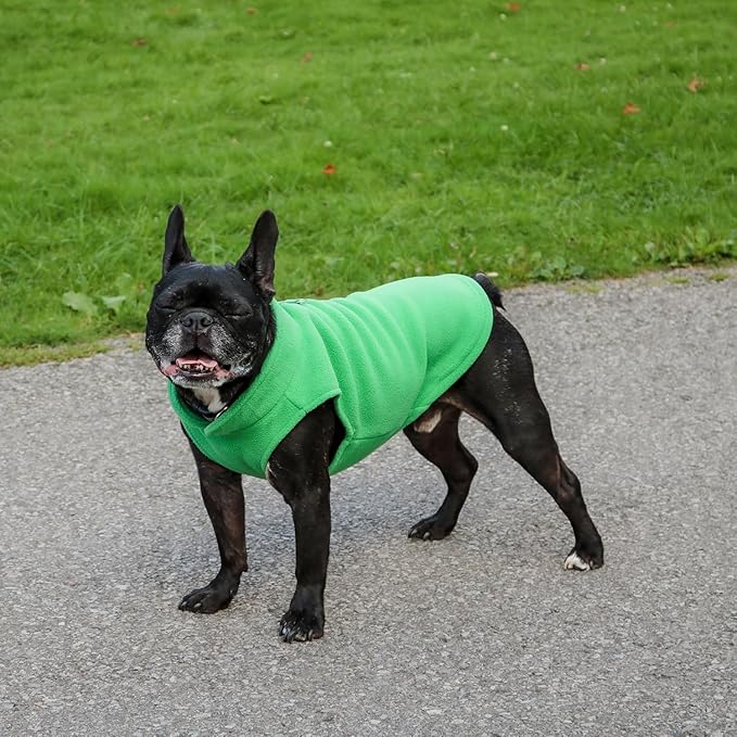 JACKO & CO - Fleece Vest Dog Sweater with Leash Ring - Soft, Warm & Lightweight Pullover Coat for Small & Medium Dogs, Puppies & Cats - Cozy Fall/Winter/Spring Pet Jacket (Green, Small 4-6lbs)