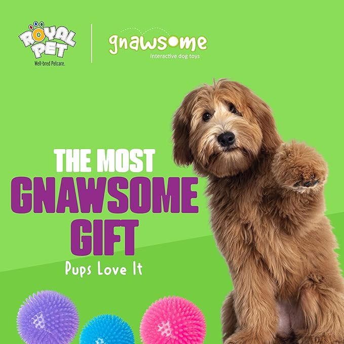 Gnawsome 4.5” Spiky Squeak & Light Ball Dog Toy - Extra Large, Cleans teeth and Promotes Dental and Gum Health for Your Pet, Colors will vary, All Breed Sizes