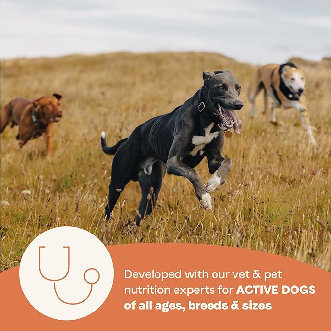 Canidae All Life Stages High Protein Dry Dog Food, Multi-Protein Recipe, 4 lbs.