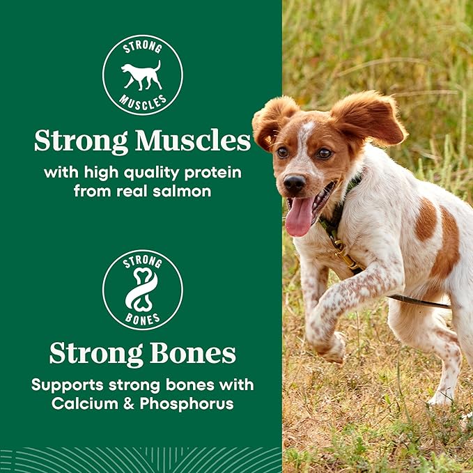 Nutro Natural Choice Salmon & Brown Rice Adult Small Bites Dog Food Recipe, 28 lb. Bag