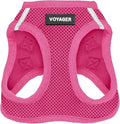 Best Pet Supplies Voyager Step-in Air Harness - All Weather Mesh, Reflective, No Pull Harness for Dogs, Cats - Secure with Hook & Loop Fastener, Buckle, Double D-Rings - Fuchsia, L