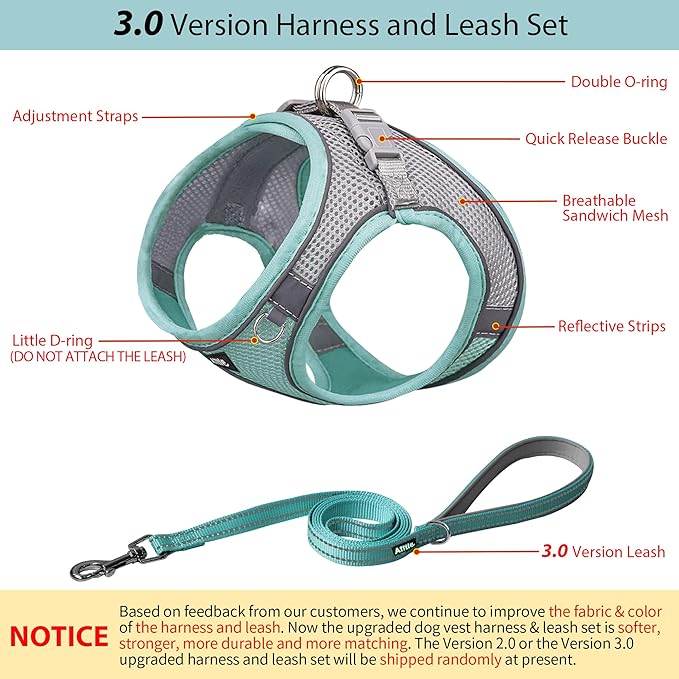 AIITLE Small Harness for Puppy with A Leash - Summer Dog Vest Harness with Super Breathable Mesh, Reflective No-Pull Pet Harness for Outdoor Walking, Camping for Small Dogs, Cats Turquoise XXS